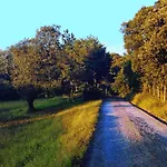 Landarte