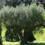 Landarte Bed and Breakfast Zumaia