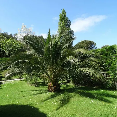 Landarte 수마이아