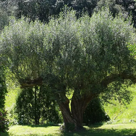 Landarte B&B 수마이아