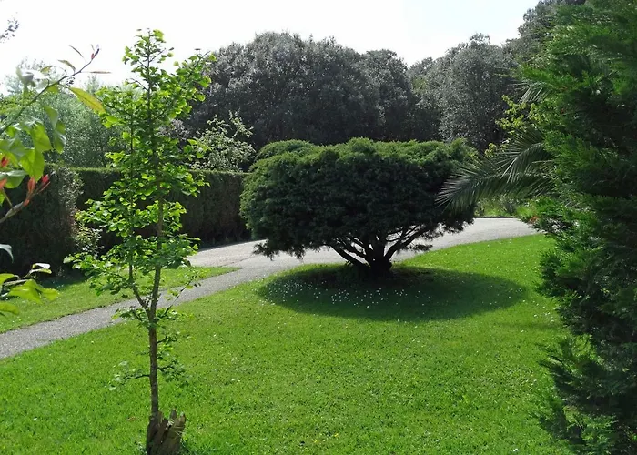 Bed & Breakfast Landarte Zumaia